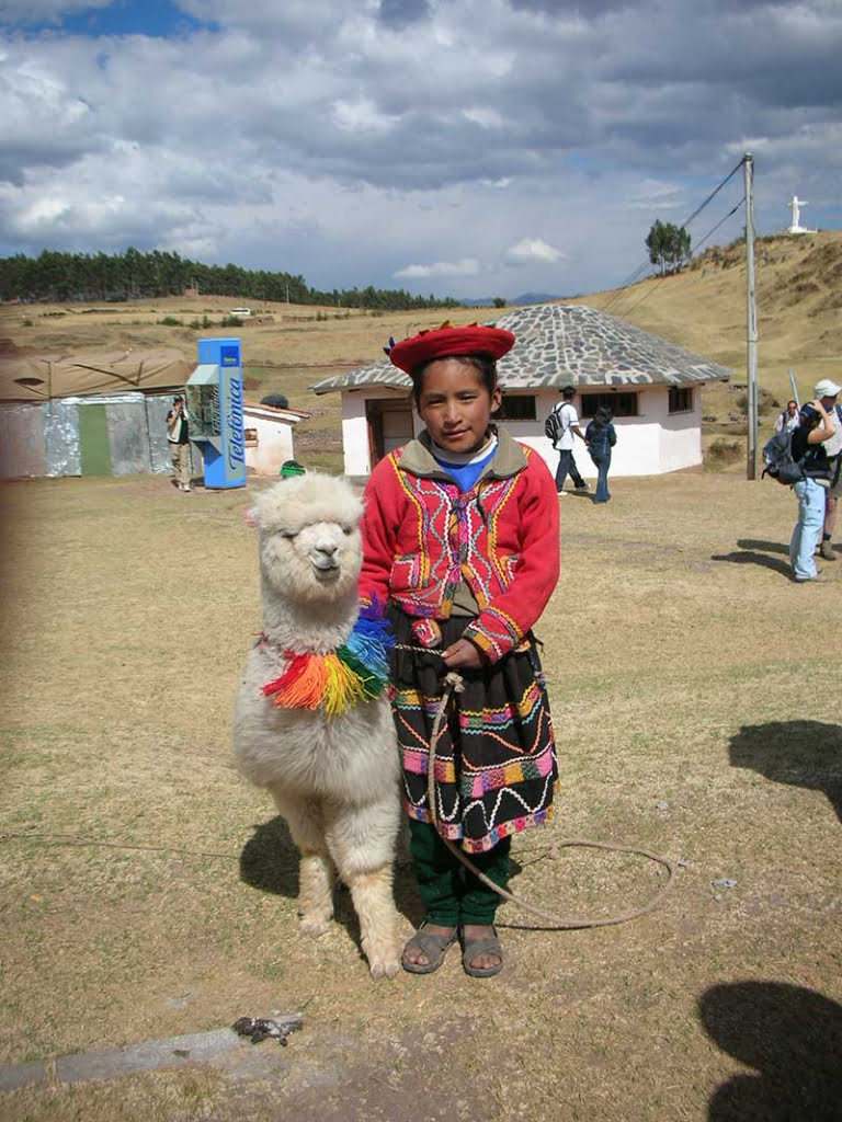 Girl with Alpaca